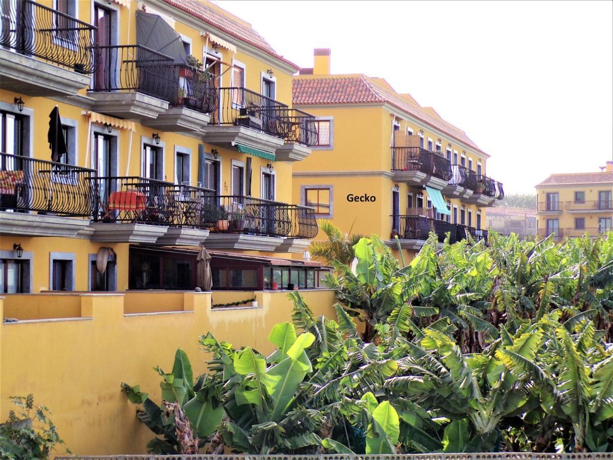 Gecko Apartment Tazacorte Bagian luar foto